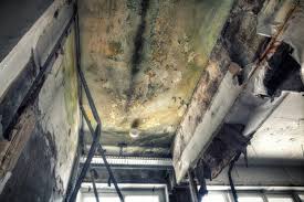 Best Industrial Mold Remediation  in Hampton, GA